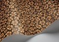 Tapeta w cętki Cole & Son 119/4019 Savanna Shell Ardmore Jabula