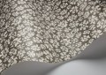 Tapeta w cętki Cole & Son 119/4023 Savanna Shell Ardmore Jabula