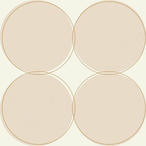 Tapeta koła Caselio ARN102881022 All Around Around