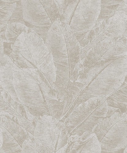 Tapeta bananowiec Khroma HAV303 Juan Havana