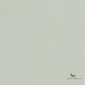 Tapeta w kropeczki Caselio GNL101736021 Sparkle Green Life