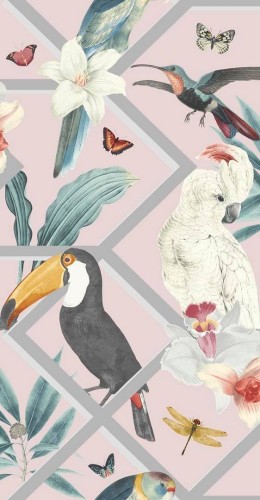 Tapeta ptaki i kratownica Graham & Brown 107604 Explorer