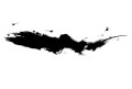 Fototapeta abstrakcyjna Rebel Walls R18251 Focus Graphite Linda Vagnelind