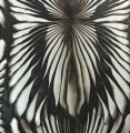 Tapeta ekskluzywna na srebrnej folii Roberto Cavalli RC19002 Home NO. 8 - szer. 106cm
