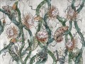 Fototapeta botaniczna Wallcraft Colorado 455312102