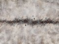Fototapeta jak beton Wallcraft De Mori 435322101