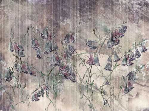 Fototapeta polne kwiaty Wallcraft Giolla 385322101