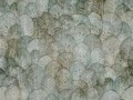 Fototapeta liście Wallcraft Iberis 410312101