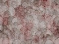 Fototapeta liście Wallcraft Iberis 410322101