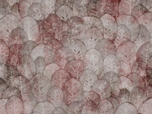 Fototapeta liście Wallcraft Iberis 410322101