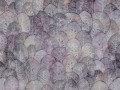 Fototapeta liście Wallcraft Iberis 410332101