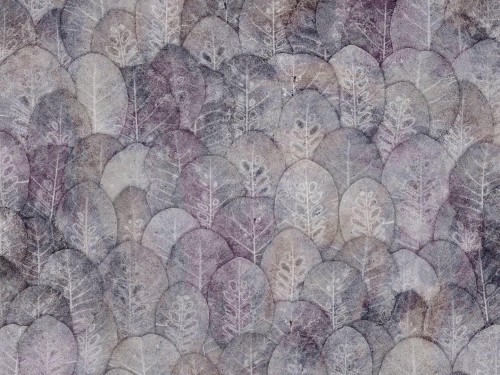 Fototapeta liście Wallcraft Iberis 410332101