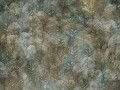 Fototapeta liście Wallcraft Iberis 410342101