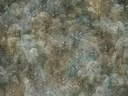 Fototapeta liście Wallcraft Iberis 410342101