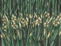 Fototapeta kwiaty polne narcyzy Wallcraft Narcise 445322102