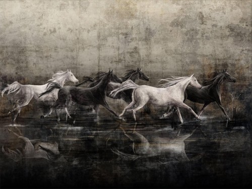 Fototapeta konie Wallcraft Reho 365342101