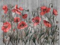 Fototapeta kwiaty maki Wallcraft Rosella 470322102
