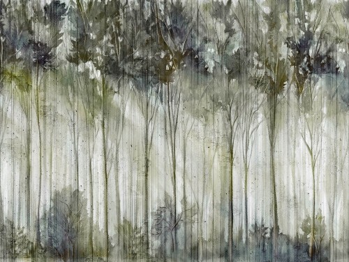 Fototapeta drzewa Wallcraft Scoven 475322102