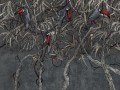 Fototapeta tropikalna Wallcraft Tropical 460322102