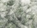 Fototapeta z abstrakcyjnym wzorem Wallcraft Umbra 390322101