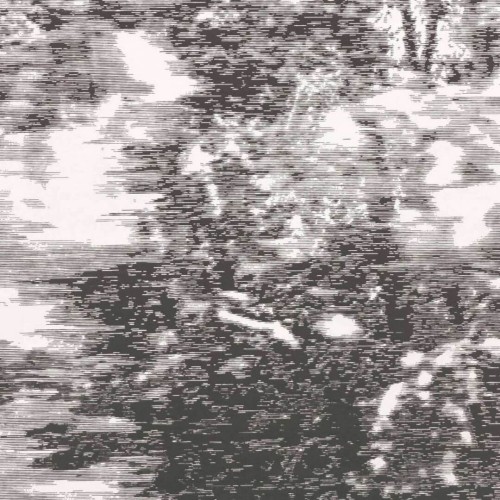 Tapeta leśny krajobraz Black Edition Mitoku W919/01 Mizumi