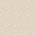 Tapeta wachlarze Galerie G56602 TexStyle