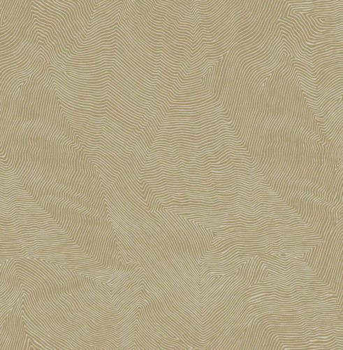 Tapeta linie Trendsetter Studio TH9921 Thom