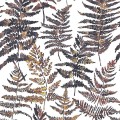 Tapeta liście paproci Decoprint EE22543 Fern Essentials