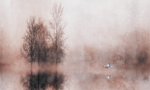 Tapeta zamglony krajobraz Inkiostro Bianco ALTEA INKARRR2202 Light And Shadows