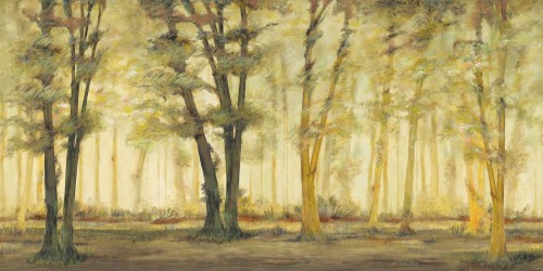 Tapeta leśny krajobraz Inkiostro Bianco ONCE UPON A TIME INKATSC2201 Light And Shadows