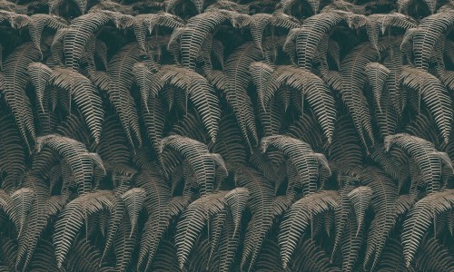 Tapeta liście paproci Inkiostro Bianco PHAEDRA INKRTAI2203 Light And Shadows