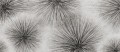 Tapeta iskry Inkiostro Bianco SPARKS INKPRSB2201 Light And Shadows