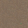 Tapeta Cole & Son 109/6027 Senzo Spot Ardmore