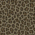 Tapeta cętki Origin 347801 Luxury Skins