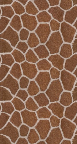 Fototapeta skóra żyrafy Origin 357244 Luxury Skins
