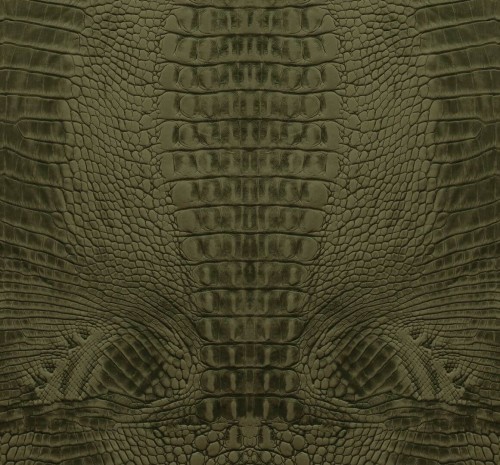 Fototapeta skóra krokodyla Origin 357246 Luxury Skins