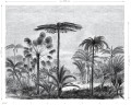 Mural tropikalny krajobraz z palmami Esta 158952 Paradise