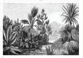 Mural tropikalny krajobraz Esta 158953 Paradise