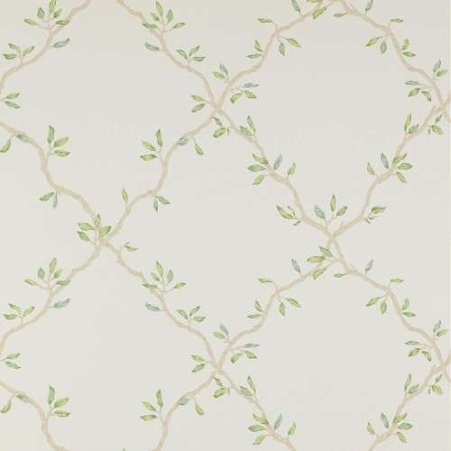 Tapeta roślinny treliaż Colefax and Fowler 07706/03 Leaf Trellis Small Design Wallpapers II