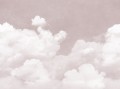 Fototapeta chmury Rebel Walls R14014 Cuddle Clouds Pink Dreamland