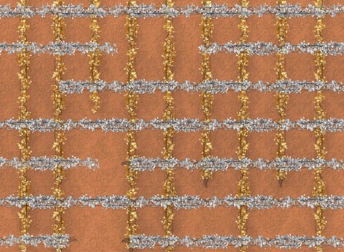 Tapeta linie bluszczu Wall&Deco WDIV2202 Ivy Line Contemporary 2022