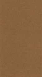 Tapeta lniane płótno Caselio LNE 103222042 Uni Mat Linen Edition