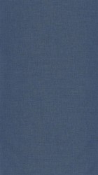 Tapeta jak lniane płótno Caselio LNE 103236032 Uni Metallise/Irise Linen Edition