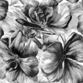 Tapeta kwiaty piwonie Decor Maison 5339-3 Belle