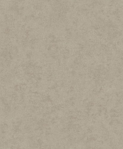 Tapeta beton Decoprint AF24504 Affinity