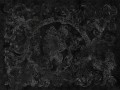 Fototapeta roślinna nowoczesna Wallcraft Incor 585 33 2201