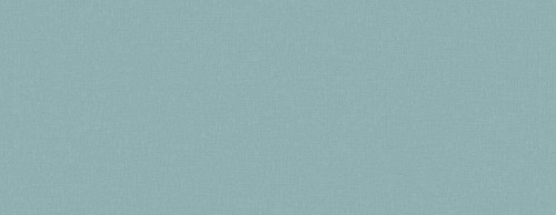 Tapeta akustyczna lniane płótno Texdecor INEN 91610439 Linen Acoustic Vinyl Wallcoverings