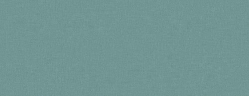 Tapeta akustyczna lniane płótno Texdecor INEN 91610468 Linen Acoustic Vinyl Wallcoverings