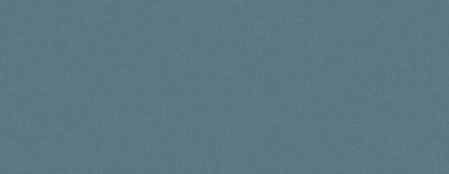 Tapeta akustyczna lniane płótno Texdecor INEN 91610573 Linen Acoustic Vinyl Wallcoverings