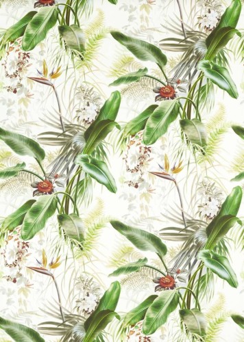 Tapeta botaniczna Zoffany 312989 Paradise Row Kensington Walk Wallcoverings